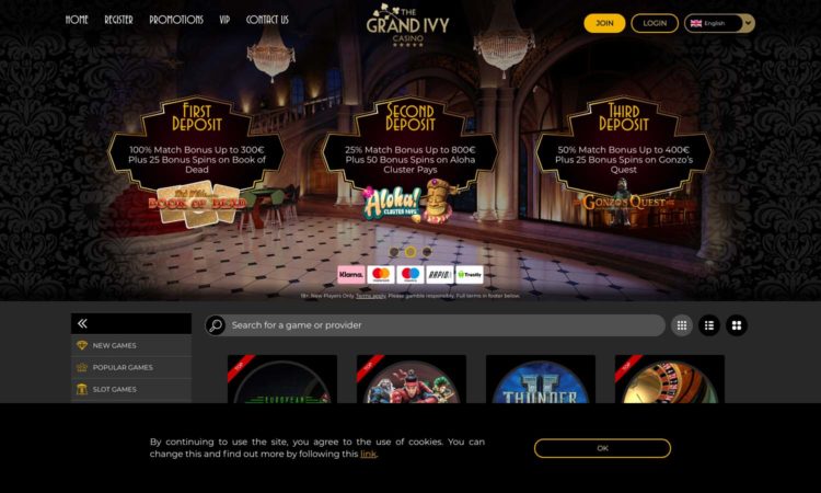 Casinoin Strategies For Beginners
