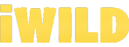 iWild online casino logo