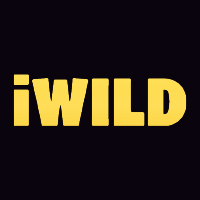 iWild Casino Logo